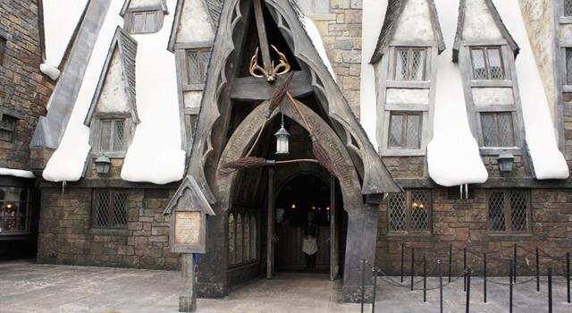 Hog's Head is a pub that serves butterbeer at which tourist attraction in Orlando, Florida? Hog's Head is a pub that serves butterbeer at which tourist attraction in Orlando, Florida?