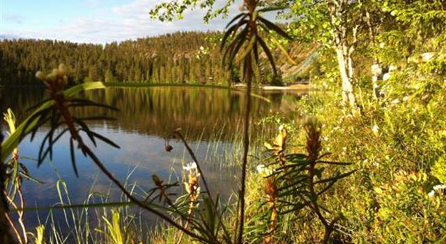 Where is Karelia? Where is Karelia?