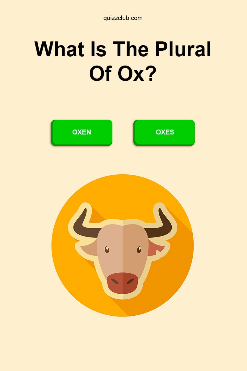 What Is The Plural Of Ox Trivia Questions QuizzClub