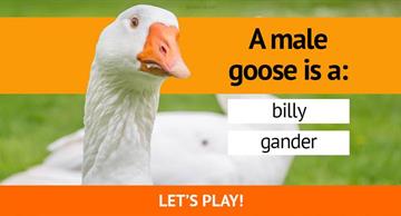 animals Quiz Test: Only Americans With A PhD Passed This Animal Vocabulary Test. Can You?