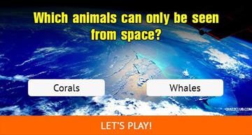 Nature Quiz Test: Only 2 in 10 People Can Pass This Animal Facts Quiz