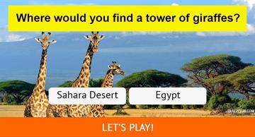Geography Quiz Test: Can you guess where these animals are from?