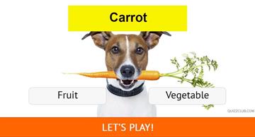 Quiz Test: Is It A Fruit Or A Vegetable?