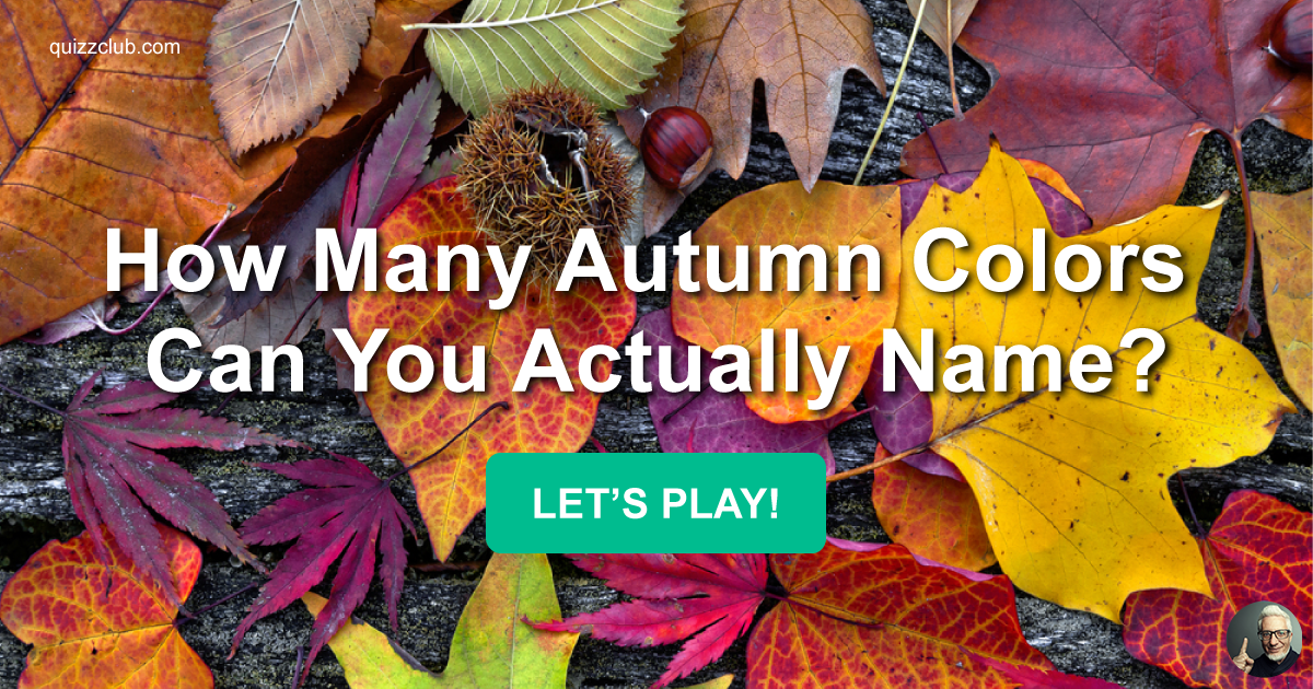 How Many Autumn Colors Can You... | Trivia Quiz | QuizzClub