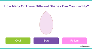 IQ Quiz Test: How Many Of These Different Shapes Can You Identify?