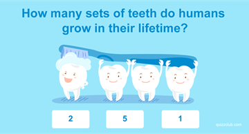 Quiz Test: Only 3% Of American Adults Passed This 2nd Grade General Knowledge Test