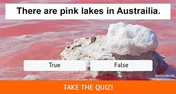 Quiz Test: 14 Questions to Test Your Knowledge
