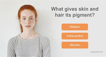 Science Quiz Test: No One Can Score A Perfect 10 On This Impossible Human Anatomy Quiz