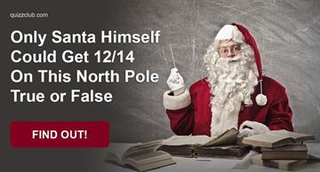 knowledge Quiz Test: Only Santa Himself Could Get 12/14 On This North Pole True or False