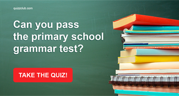 Quiz Test: Can you pass the primary school grammar test?