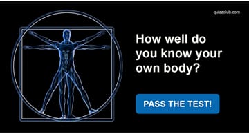 health Quiz Test: How Well Do You Know Your Own Body?