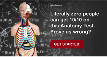 Science Quiz Test: Literally Zero People Can Get 10/10 On This Anatomy Test. Prove Us Wrong?