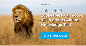 Quiz Test: Only Actual Zookeepers Can Score 12/15 On This All-Lion Knowledge Test!