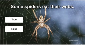 animals Quiz Test: Are You Really An Animal Expert?