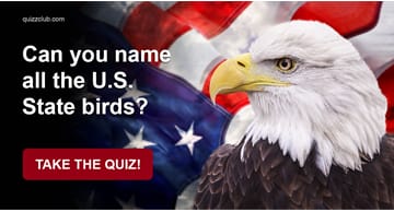 Geography Quiz Test: Can You Name All The U.S. State Birds?
