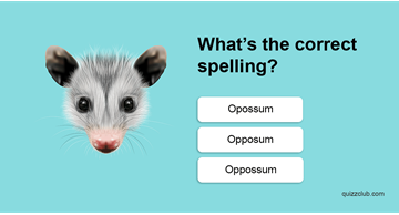 IQ Quiz Test: Can You Pass A 5th Grade Grammar Test?