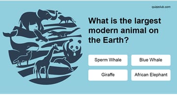 IQ Quiz Test: Can You Solve 9 Incredibly Tricky Science Questions?
