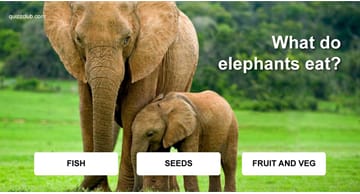 Nature Quiz Test: Guess What Animal Eats What!