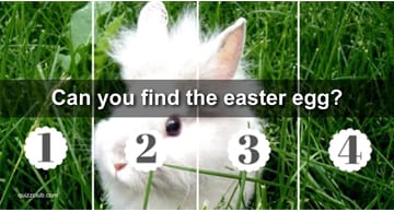vision Quiz Test: Can You Find The Easter Egg We've Hidden In Each Of These Photos Of Adorable Bunnies?