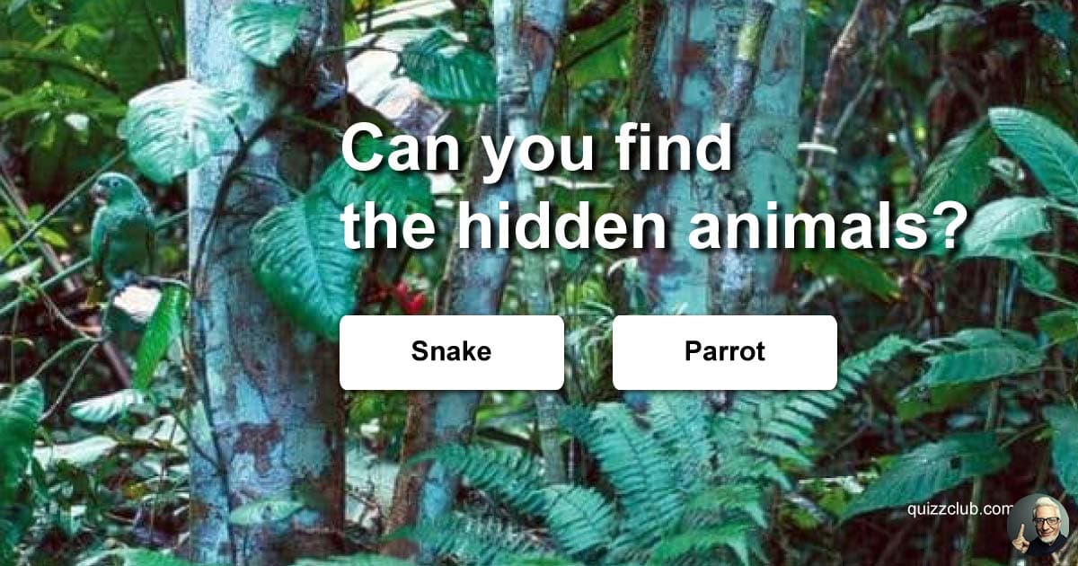 for windows download Hidden Animals : Photo Hunt . Hidden Object Games