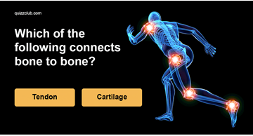Science Quiz Test: How Good Is Your Basic Medical Knowledge?