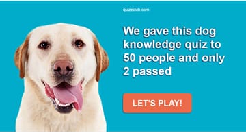 animals Quiz Test: We Gave This Dog Knowledge Quiz To 50 People And Only 2 Passed