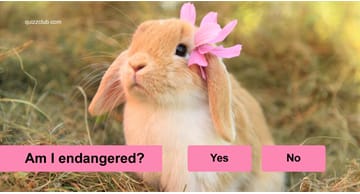 Quiz Test: Are These Incredibly Adorable Animals Endangered?
