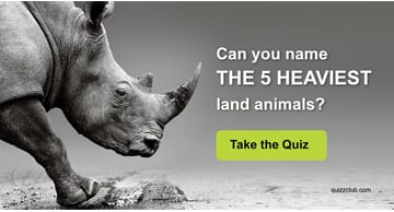Nature Quiz Test: Can you name the 5 heaviest land animals?