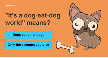 language Quiz Test: Only 10% Of People Can Pass This English As A Foreign Language Exam