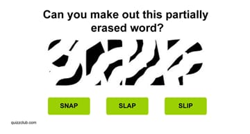 Quiz Test: Try Passing A Visual IQ Test Without Making a Single Mistake