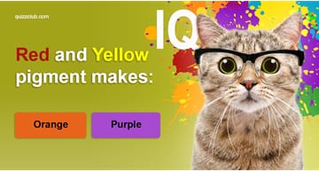 Quiz Test: What's Your I.Q. On A Scale From 1 To 25?