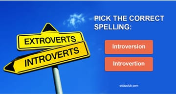 language Quiz Test: 9 In 10 Introverts Got 23/23 In This Spelling Test