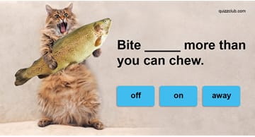 Quiz Test: 98% Of Americans Cannot Complete These 24 Basic Phrases