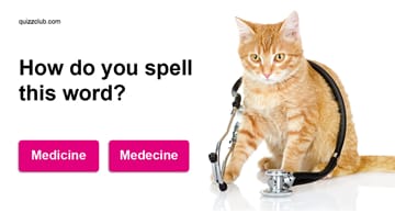 language Quiz Test: Are You A Grammar Hammer?