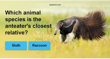 Nature Quiz Test: Can You Match The Animal With Its Closest Relative?