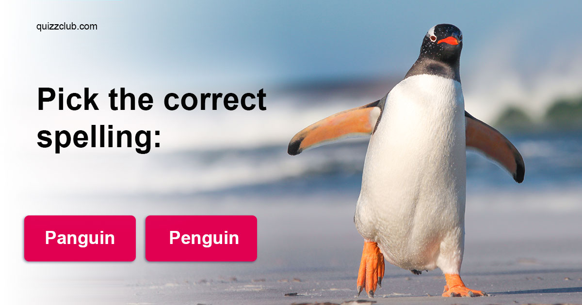 Can You Spell The Hardest Words In Trivia Quiz QuizzClub