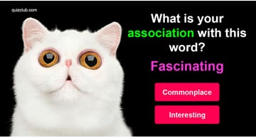 knowledge Quiz Test: Only PhDs Can Pass This Word Association Quiz