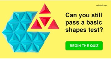 Science Quiz Test: This Basic Shapes Test Is Harder For Most Adults Than It Should Be