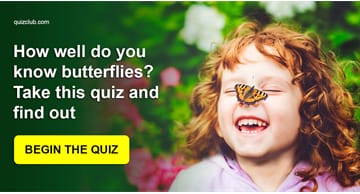 animals Quiz Test: How well do you know butterflies? Take this quiz and find out