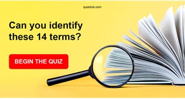 IQ Quiz Test: If You Can Identify These 14 Terms Your Intelligence Is In The 99th Percentile