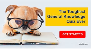 IQ Quiz Test: Nobody Can Score At Least 5 Out Of 10 In This Difficult Mixed Knowledge Quiz