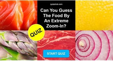 knowledge Quiz Test: Can You Guess The Food By An Extreme Zoom-In?