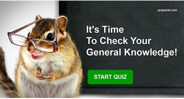 knowledge Quiz Test: It's Time To ะกheck Your General Knowledge!