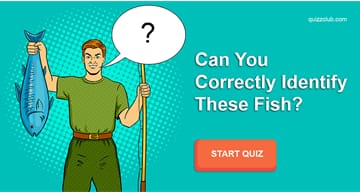 animals Quiz Test: Can you correctly identify these fish?