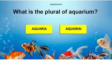 language Quiz Test: Score 10/15 On This Grammar Test!