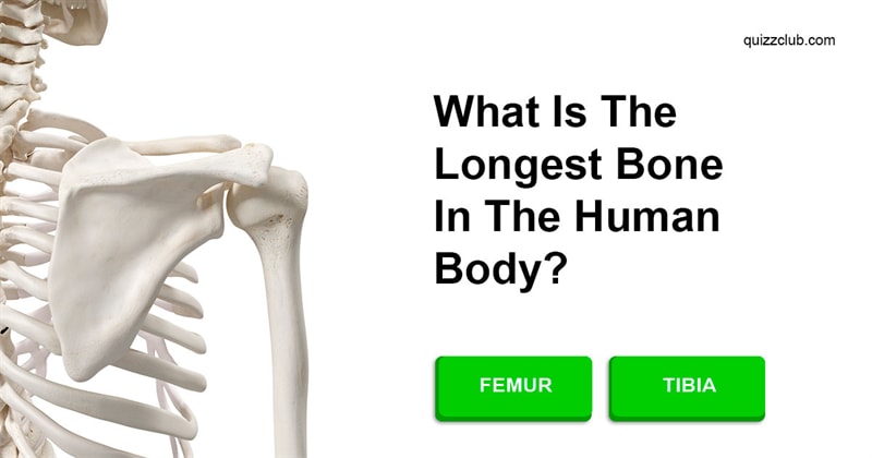 Free Science And Nature Quizzes And Tests Quizzclub
