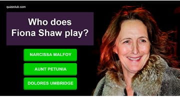 Movies & TV Quiz Test: Only True Harry Potter Fans Can Match All These Actors To Their Characters