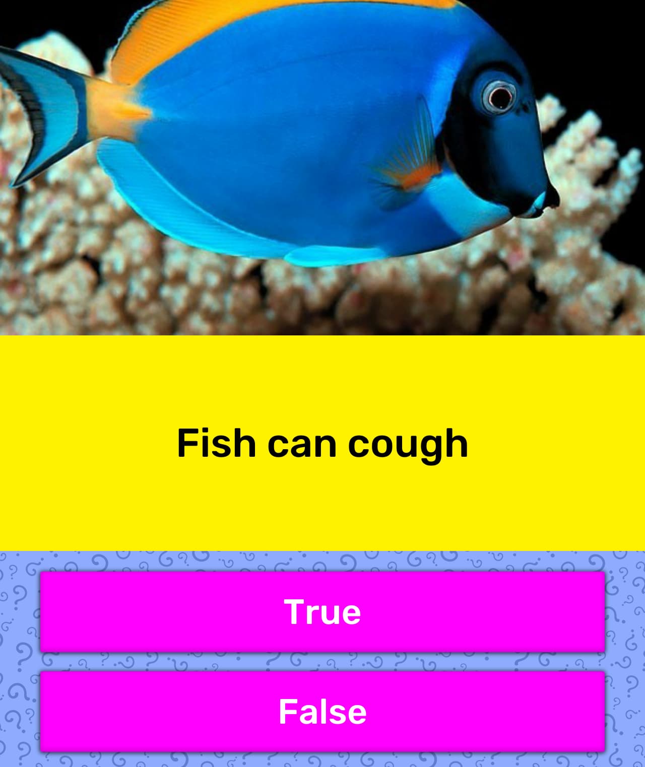 Fish can cough. | Trivia Questions | QuizzClub