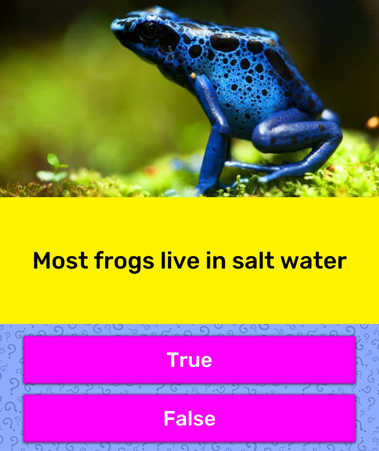 most-frogs-live-in-salt-water-trivia-answers-quizzclub