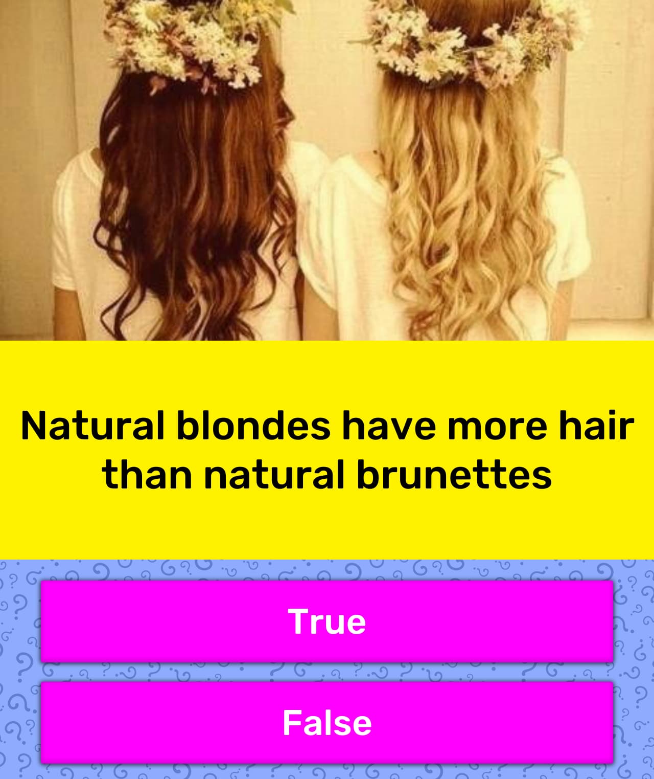 Natural Blondes Have More Hair Than Trivia Answers Quizzclub
